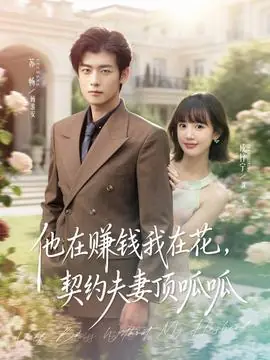 他在赚钱我在花,契约夫妻顶呱呱海报