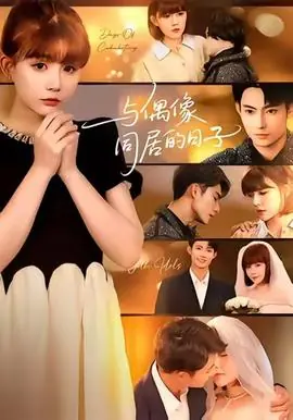 与偶像同居的日子海报