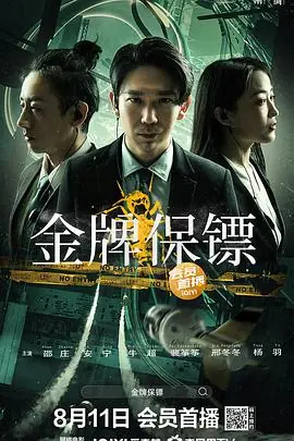 金牌保镖_1080P_海报
