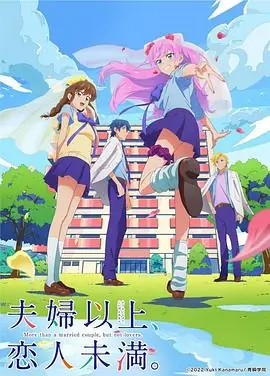 夫妇以上,恋人未满海报