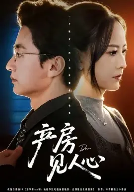 产房见人心海报