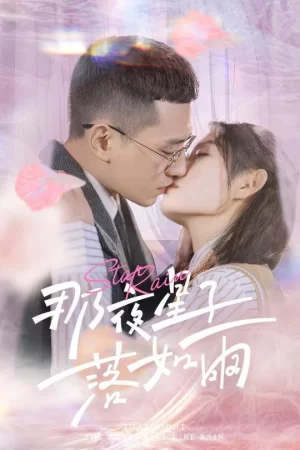 那夜星子落如雨海报