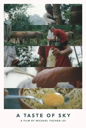 天空的味道海报