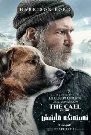 荒野的呼唤[影视解说]海报