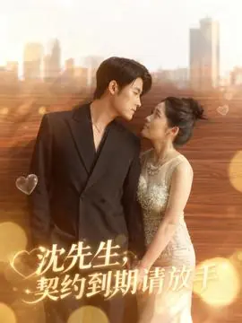沈先生,契约到期请放手海报