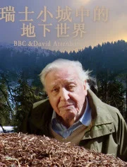 瑞士小城中的地下世界海报