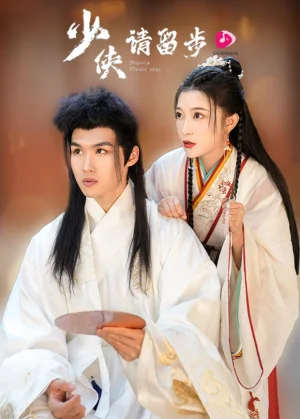 少侠请留步海报