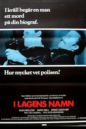 以法律的名义海报