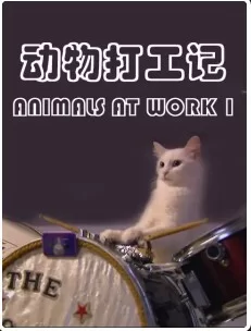 动物打工记第一季海报
