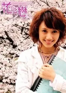 幸福的拼图海报