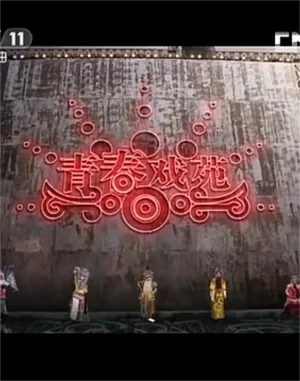 青春戏苑2019海报