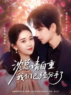 沈总请自重我们已经分手了海报