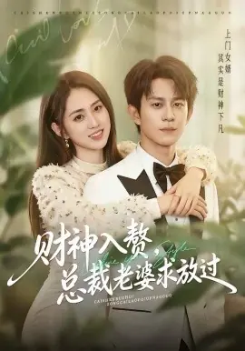 财神入赘,总裁老婆求放过海报