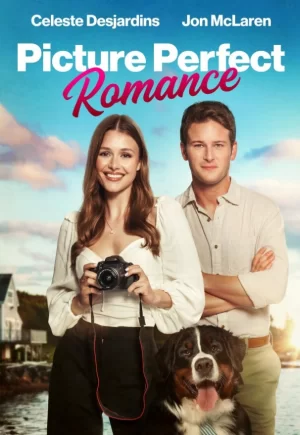 完美浪漫的画面海报