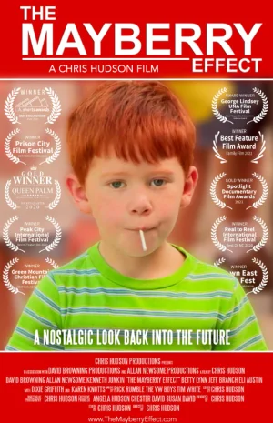 梅贝里效应海报