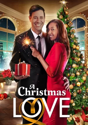 圣诞之爱海报