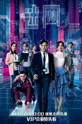 迷网(国语)海报
