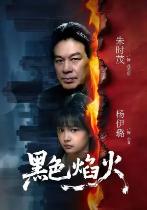 黑色焰火海报
