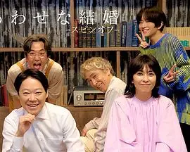 幸福的婚姻-衍生篇-海报