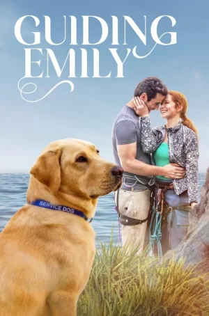 指导艾米丽海报