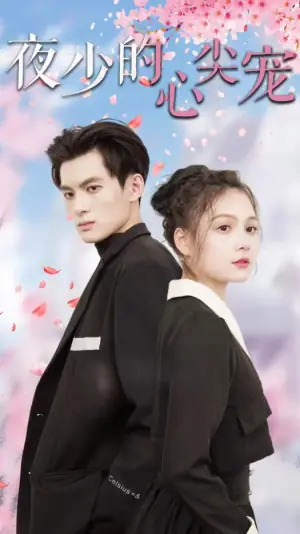 夜少的心尖宠海报