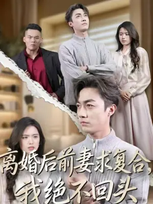 离婚后前妻求复合,我绝不回头海报