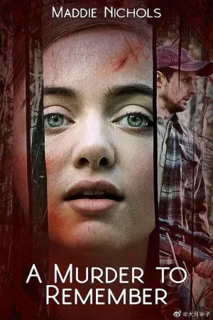 值得记住的谋杀案海报