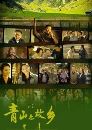 青山是故乡海报