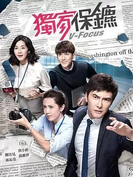 独家保镖海报