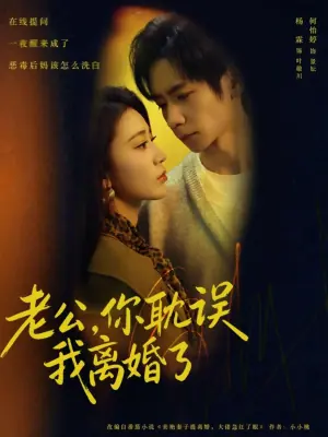 老公,你耽误我离婚了海报