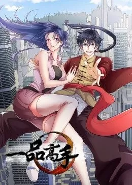 一品高手海报