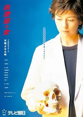 科搜研之女第四季海报