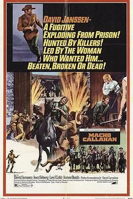 游龙火凤霹雳枪海报