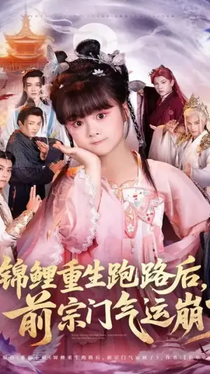 锦鲤重生跑路后前宗门气运崩了海报