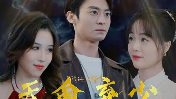 天命弃少海报
