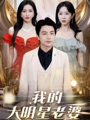 我的大明星老婆海报
