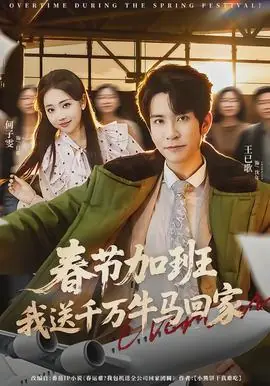 春节加班,我送千万牛马回家海报