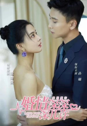 婚浅深深深几许海报