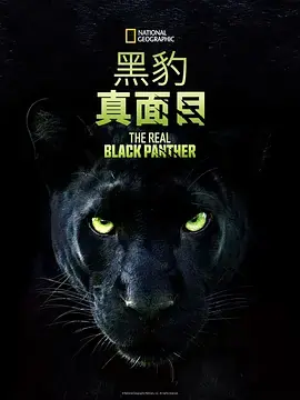 真黑豹无双海报