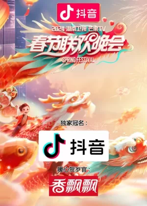 2013湖南卫视芒果TV春节联欢晚会海报