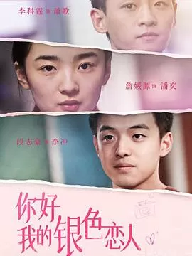 你好,我的银色恋人海报