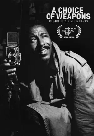 武器选择:灵感来自戈登·帕克斯海报