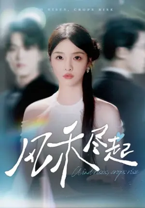 风禾尽起海报