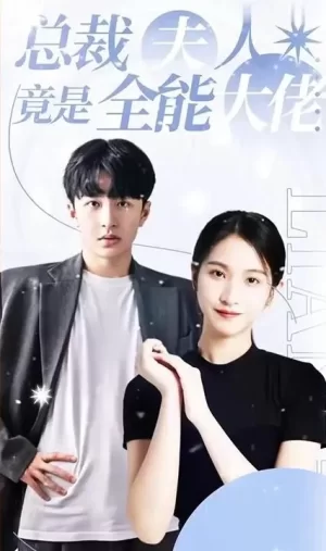 总裁夫人竟是全能大佬海报