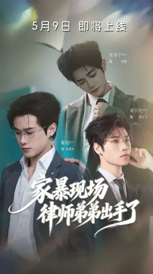 家暴现场律师弟弟出手了海报
