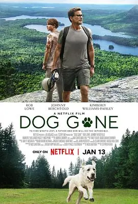 迷途之犬DogGone海报