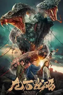 龙石密码[电影解说]海报