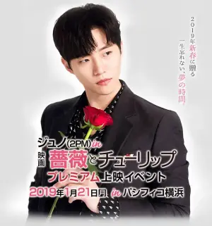 玫瑰与郁金香薔薇海报