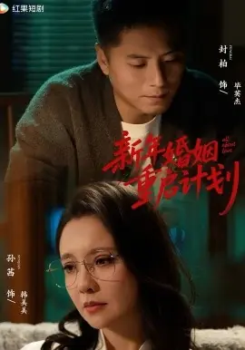 新年婚姻重启计划海报