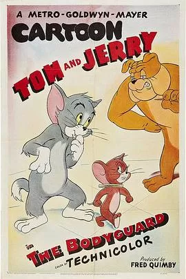 保镖[电影解说]海报